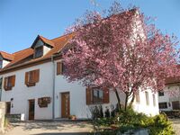 Monteurzimmer - WG Zimmer -FW "Gästehaus Beim Hartl " Obrázok 10