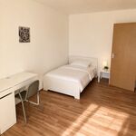 Geräumige 3-Zimmer-Wohnung mit zwei Balkonen Picture 6