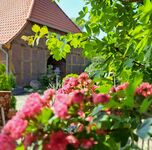 Muttis Landhof- Neue Apartments in Ummern (LK- GF) Bild 2