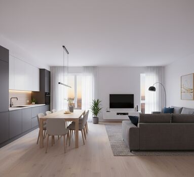 Business Apartment Hochstaedt Picture 4