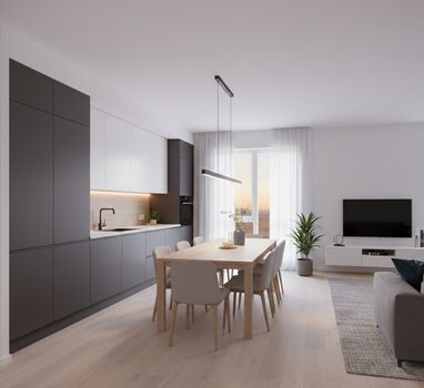 Business Apartment Hochstaedt Picture 5