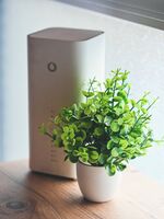 Recklinghausen WLAN - Smart-TV - 24-7 Check-in und Küche Picture 6