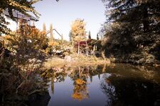 Wohnen im Garten der Sinne Bild 13