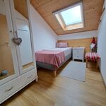 Ferienwohnung für eine Person o. Ferienhaus für 4-6 Personen Obrázok 18