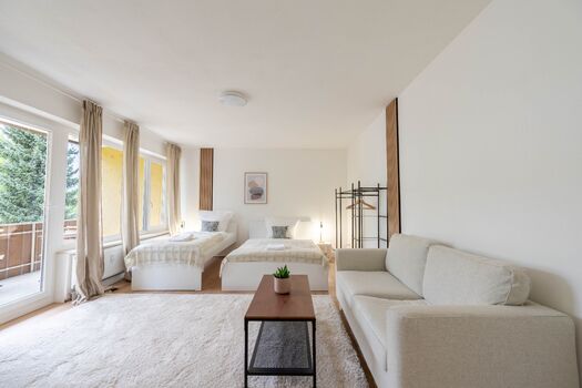 BackHome - BUSINESS APARTMENT - Parken, 3-Zimmer, SmartTV Bild 2