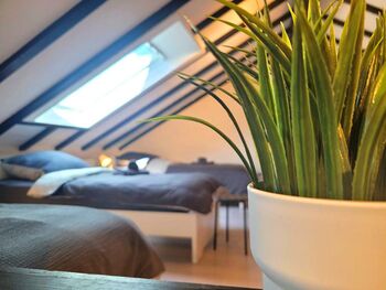 HomeRent in Gedern und Umgebung