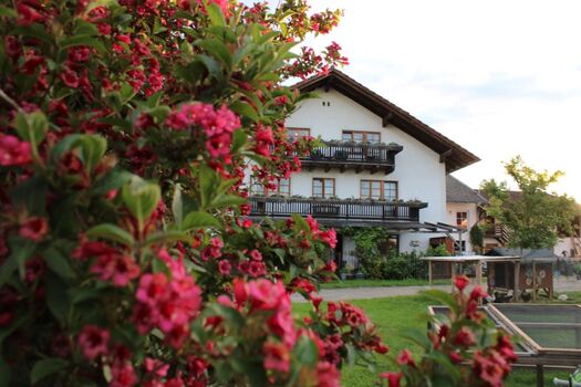 Bauernhof Voit Bild 3