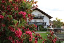 Bauernhof Voit Picture 6