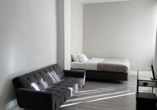 Bussiness Apartment / Monteurzimmer Picture 3