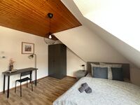 Socha Apartments/ MonteurWOHNUNGEN /Remscheid Bild 4