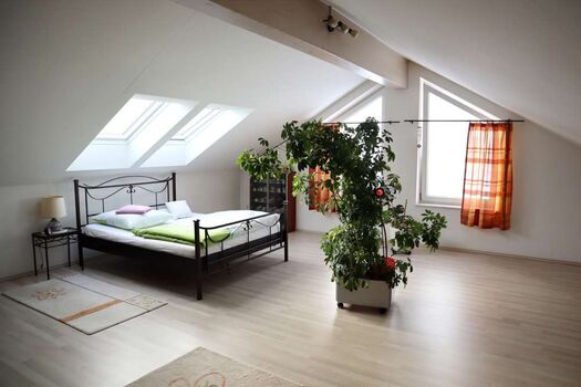 Großes Haus mit 10 Betten und 2 Badezimmer, Nahe A94, ruhig. Zdjęcie 4