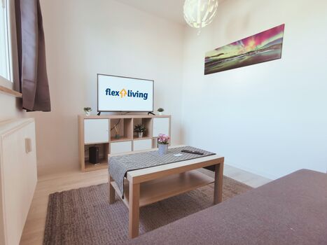 flex living - Monteurwohnung Dessau-Roßlau (DE|EN|PL|HU|RU) Bild 5
