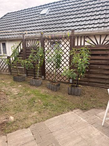 Wohnung Krzysztof Bild 3