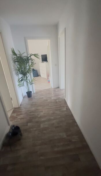 Wohnung Schmidt Picture 5