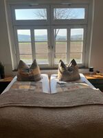 Pension Marika Bild 13