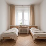 Monteurunterkunft Mainz -nach Wunsch/Bedürfnis Bild 1