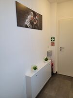 Monteurwohnung für 6 Personen nahe Hamburg Bild 20