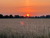 Wohnen auf dem Ponyhof in Laer Bild 18