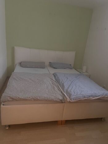 Haus Cuban Picture 5