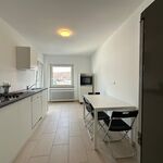 Monteurunterkunft / Monteurwohnung / möbilierte Wohnung Picture 4