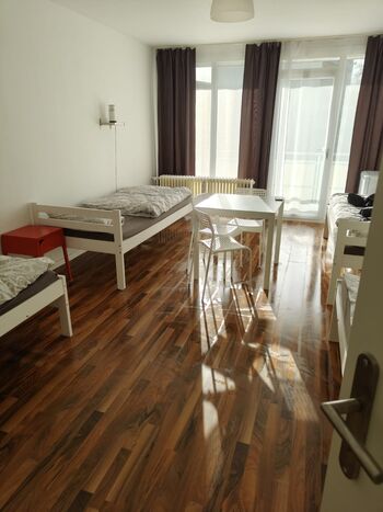 Sie suchen? Wir finden ! Mc.Monty Hamburg