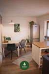 BaumHaus Bild 2