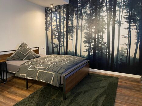 Job and Sleep Apartment Magdeburg Bild 2