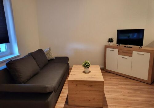 Exclusivwohnung Weißenfels EG Picture 3