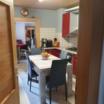 Monteurwohnung in Germersheim Stadtmitte Bild 2