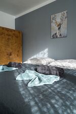 revLIVING Montageluxus Lodge Kleinstelzendorf Hollabrunn Bild 19