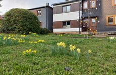 Ferienwohnung Berndt Bild 1