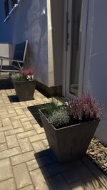 Monteurzimmer Goslar Obrázok 6