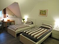 Unterkunft in Mainzer Innenstadtnähe Bild 7