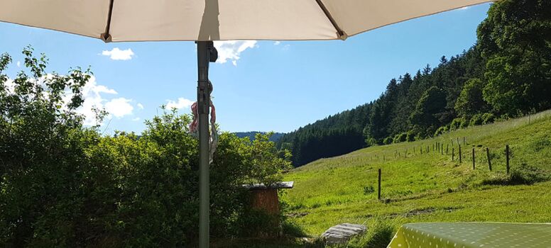 Wohnung Kleiser Bild 4