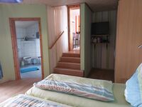 Freizeit- und Ferienreiterhof Odenwald Picture 14