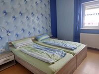 Freizeit- und Ferienreiterhof Odenwald Picture 13