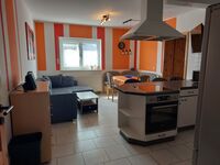 Freizeit- und Ferienreiterhof Odenwald Picture 11