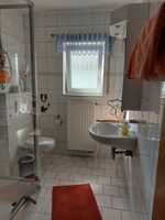 Freizeit- und Ferienreiterhof Odenwald Picture 8