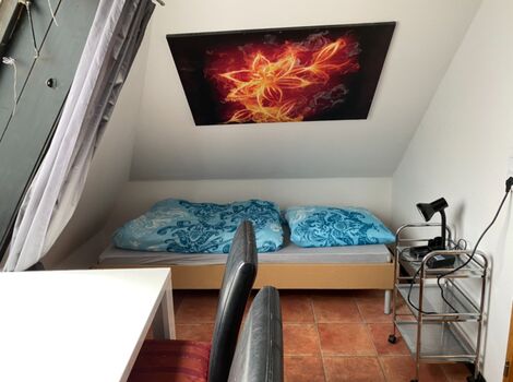 Gesamte Wohnung Stuttgart-Feuerbach ab 11,90 Euro/Nacht Bild 5