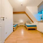 Ferienwohnung Marktplatz Zdjęcie 7