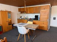 Ein Zimmer Wohnung mit Einbauküche Bild 4