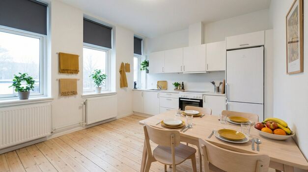 FL20 / TOMASZ-LIVING in GRAVENSTEIN - Parken + WiFi Bild 3