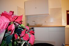 Hotel New Town Picture 6