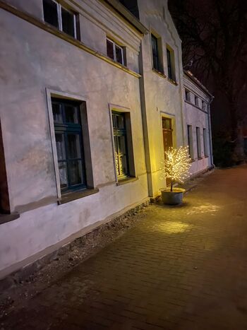 Wohnung Kellermann Bild 4