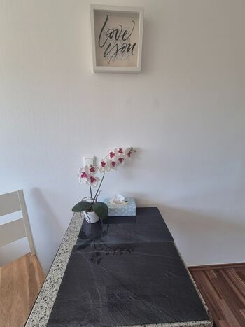 Gepflegtes Studio in zentraler Lage Bild 5