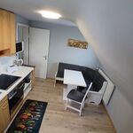 Wohnung Netzer Bild 2