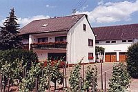 Weingut-Pension Schiff Bild 3