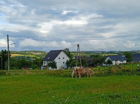 Ruhiges Zimmer auf dem Land