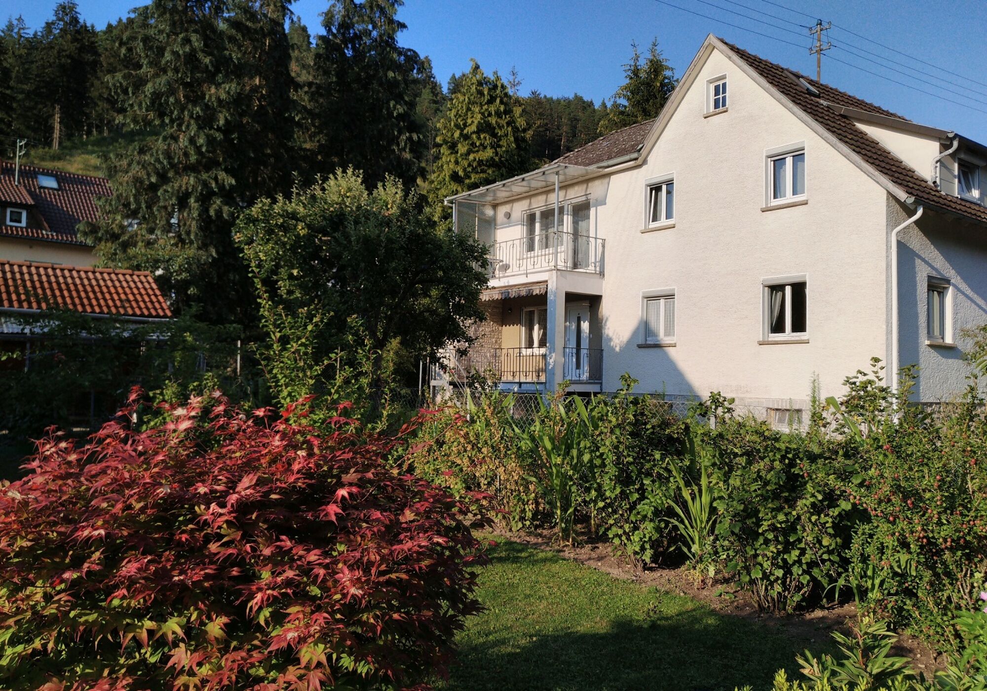 Sonnige Rosenhof & Lotusblüte mit Parkplatz