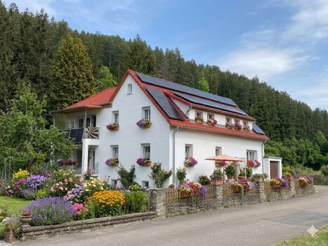 FW Rosenhof und FW Lotusblüte mit großem Garten